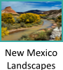 New Mexico Landscapes Gallery